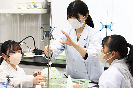 栄養学科の模擬講義の様子